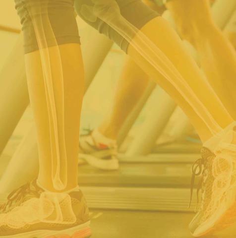 Regencel cover image